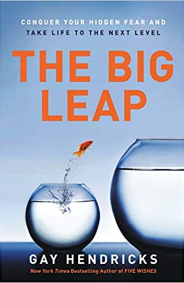 the-big-leap-book-reccommendations-sarah-jane-vincent